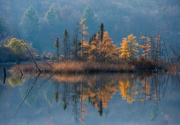 Mountain Lake, Smallwood, New York  2005