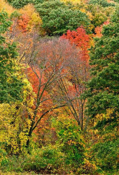 The Hudson Highlands, New York 2005