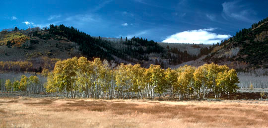 Fish Lake, Utah 1986