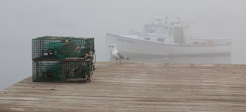 Bass Harbor, Maine 2009
