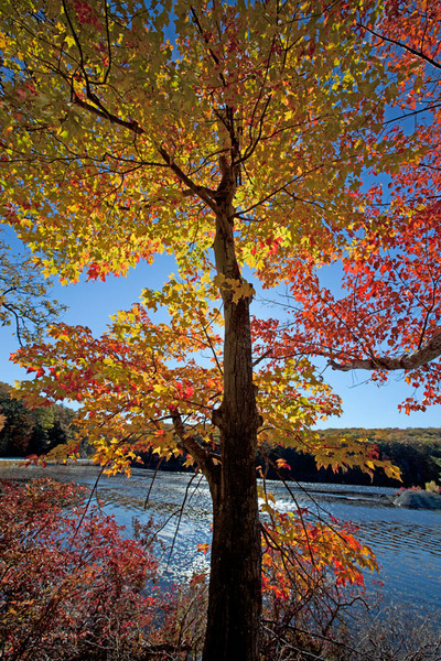 Harriman State Park, 2010