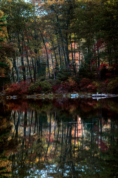 Harriman State Park, 2010