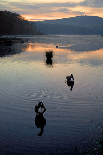 Harriman State Park, 2010