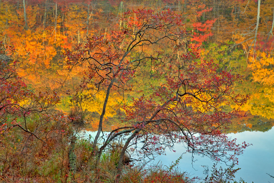 Harriman State Park, 2010