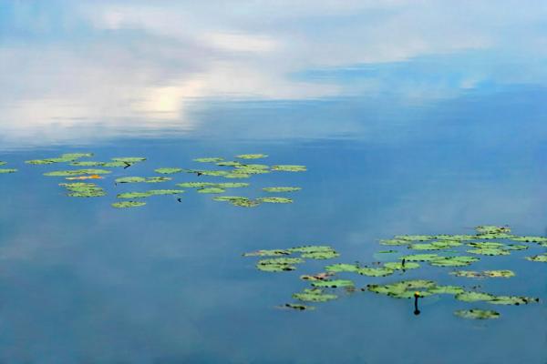 Mountain Lake, Smallwood, New York 2005