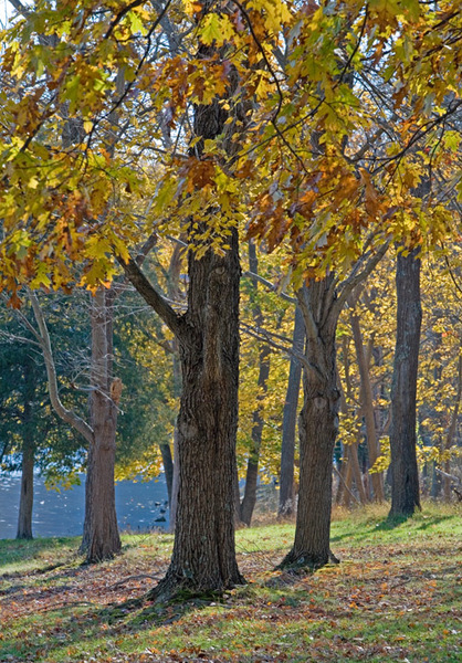 Green Lane Park, Montgomery County, Pa 2006
