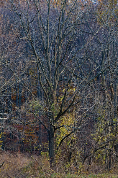 Warwick County Park, Knauertown, PA  2006