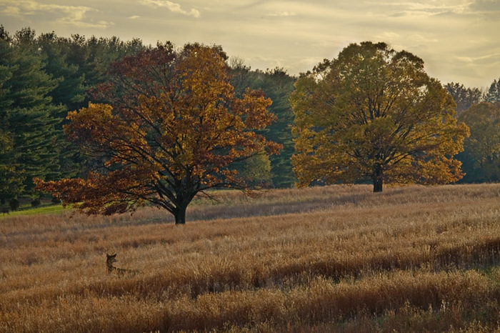 Valley Forge, Pennsylvania 2006