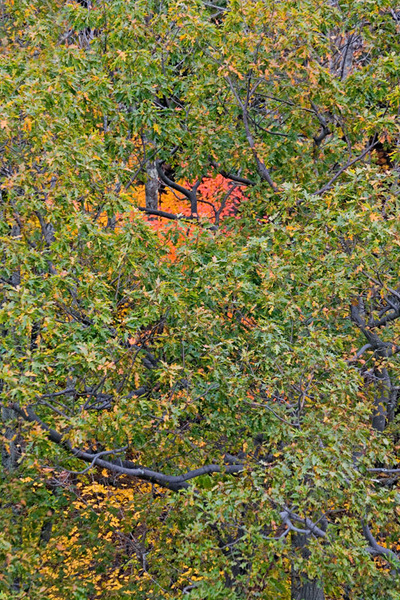 Talcott Mountain, Connecticut 2006
