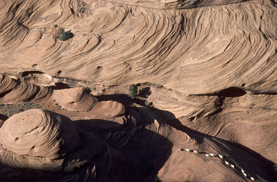 Dog Leads Sheep Through Canyon de Chelly  1986