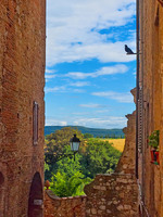 All images © Hank Gans 2023.  All rights reserved.