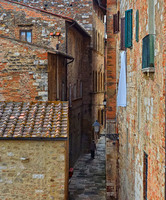 All images © Hank Gans 2023.  All rights reserved.