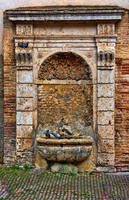 All images © Hank Gans 2023.  All rights reserved.