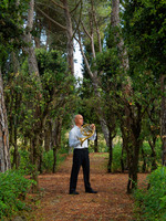 All images © Hank Gans 2023.  All rights reserved.