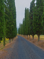 All images © Hank Gans 2023.  All rights reserved.