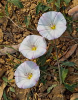 All images © Hank Gans 2023.  All rights reserved.