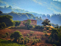 All images © Hank Gans 2023.  All rights reserved.