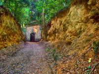 All images © Hank Gans 2023.  All rights reserved.