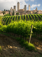 All images © Hank Gans 2023.  All rights reserved.