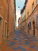 All images © Hank Gans 2023.  All rights reserved.