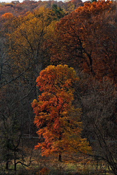 Valley Forge, Pennsylvania 2007