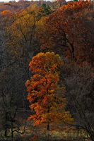 All images © Hank Gans 2023.  All rights reserved.