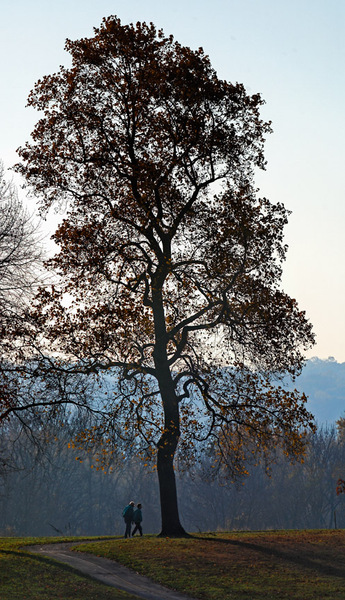 Valley Forge, Pennsylvania 2007