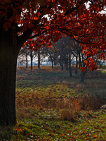 All images © Hank Gans 2023.  All rights reserved.