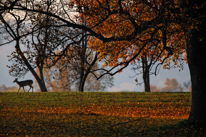 Valley Forge, Pennsylvania 2007