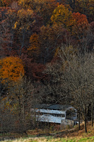 All images © Hank Gans 2023.  All rights reserved.