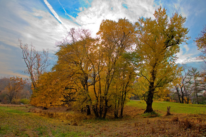 Valley Forge, Pennsylvania 2007