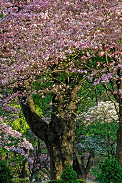 Spring 2008 Study 8