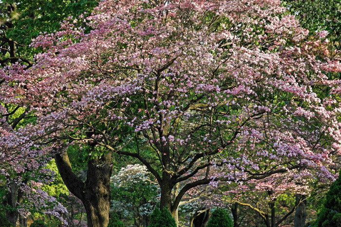 Spring 2008 Study 2