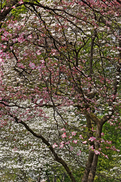 Spring 2008 Study 3