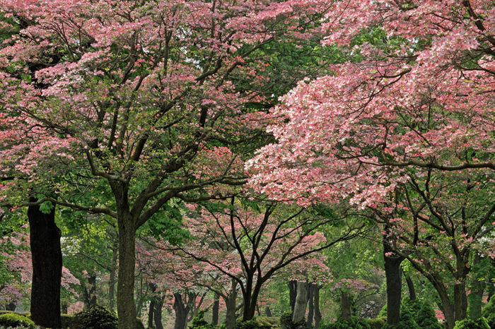 Spring 2008 Study 6