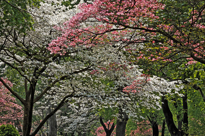 Spring 2008 Study 4