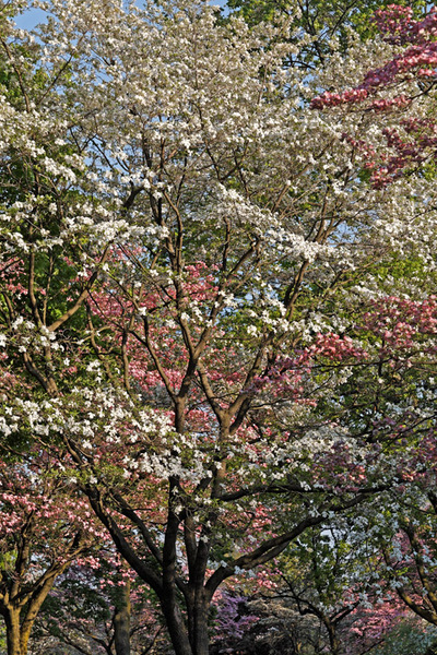 Spring 2008 Study 7
