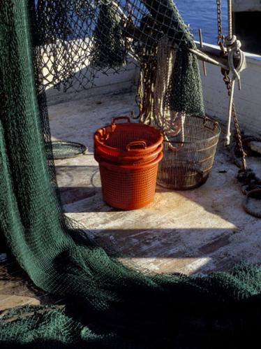 Seabrook Island, South Carolina 1982