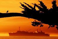 All images © Hank Gans 2023.  All rights reserved.