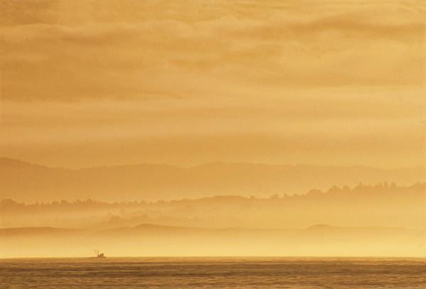 Monterey Bay, California  1990