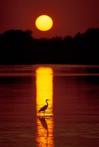 The Florida Keys  1992