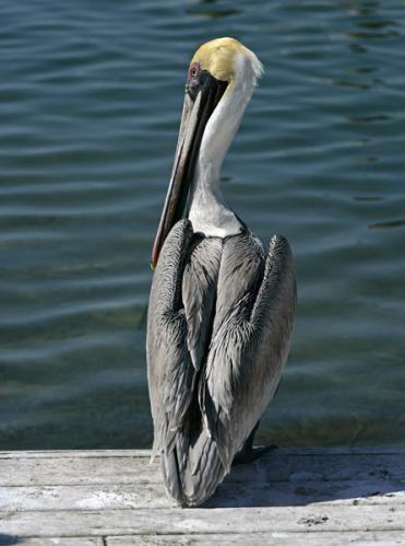 Islamorada, Florida 2005